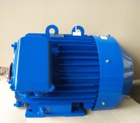 electric motor 6АМУ355М2